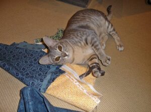 Ruby sorting fabric