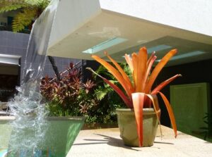 Tropical Plants2 Tropical Plants2