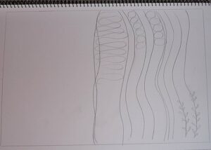 Sketched pattern