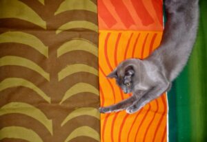 Coco likes Marimekko