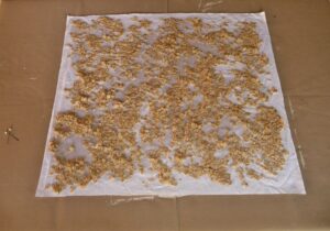 Oats resist before dyeing