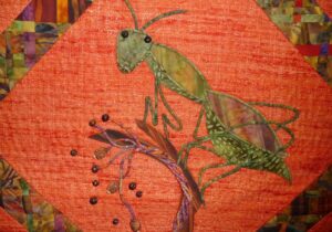 Close-up showing the great detail