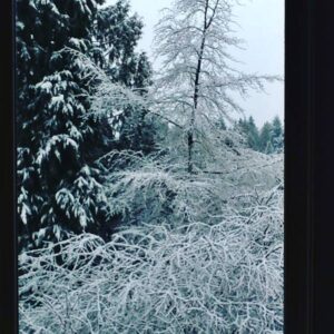 Morning in Seattle