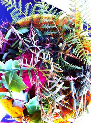 Raw material for eco-dyeing