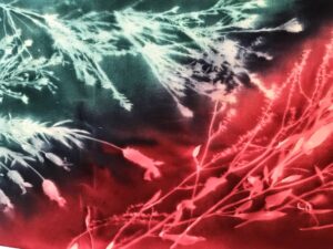 Sun dyeing fabric is a very creative process