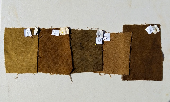 Using an alum mordant