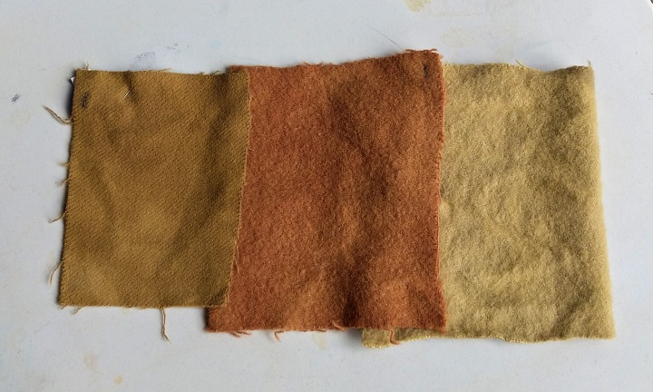 Results from 3 different types of eucalyptus leaves